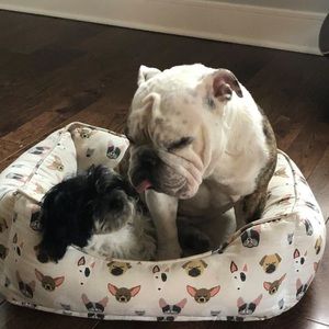 Meet your Posher, Kim